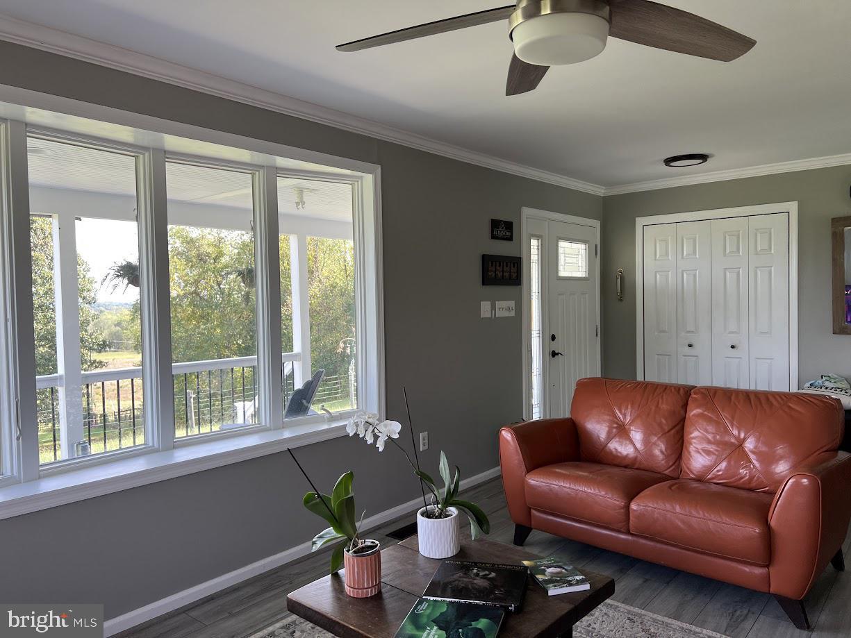 22749 TAIL RACE ROAD