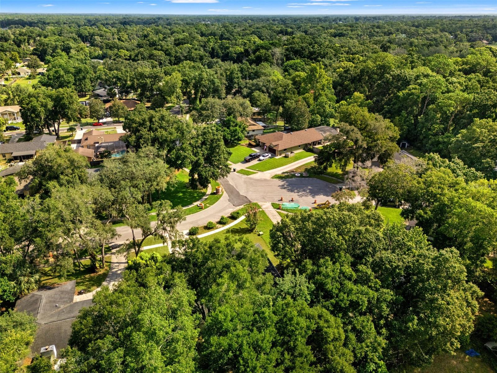 436 BISON CIR