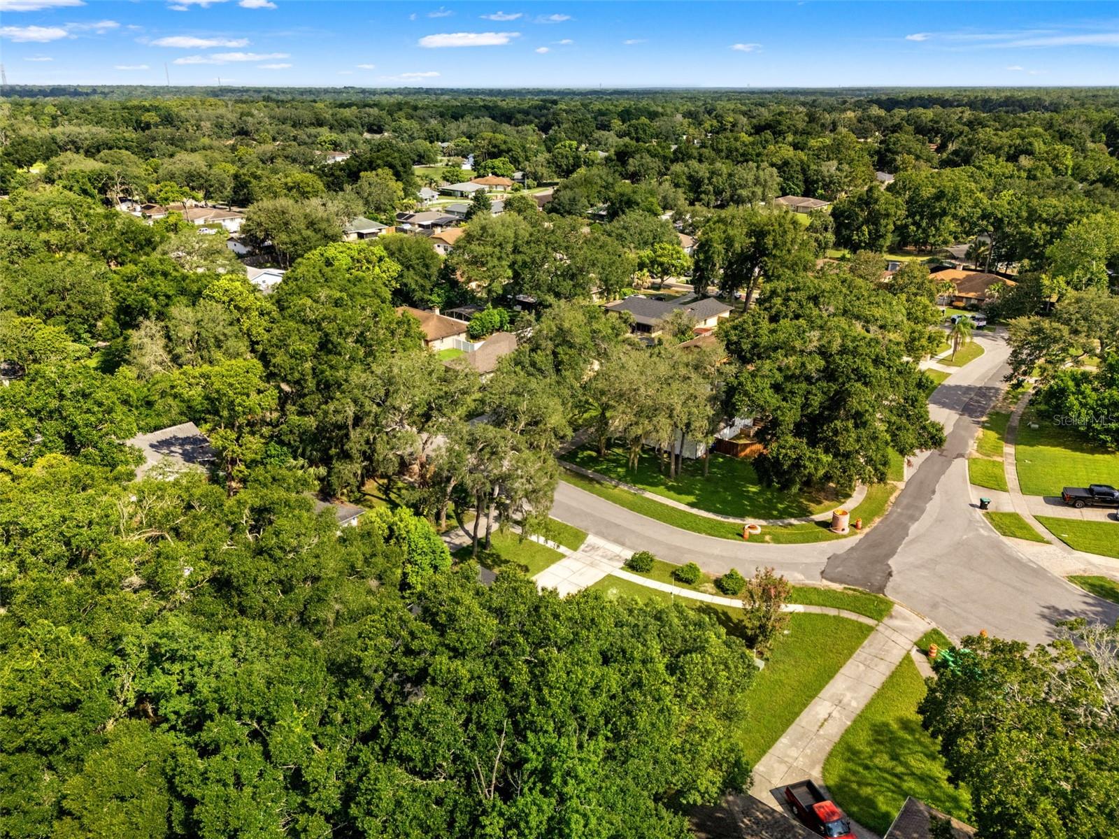 436 BISON CIR