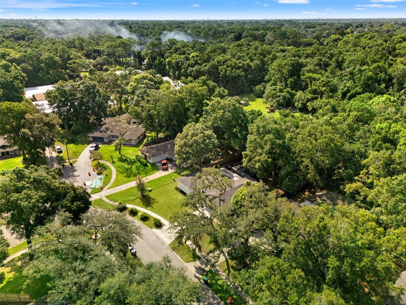 436 BISON CIR