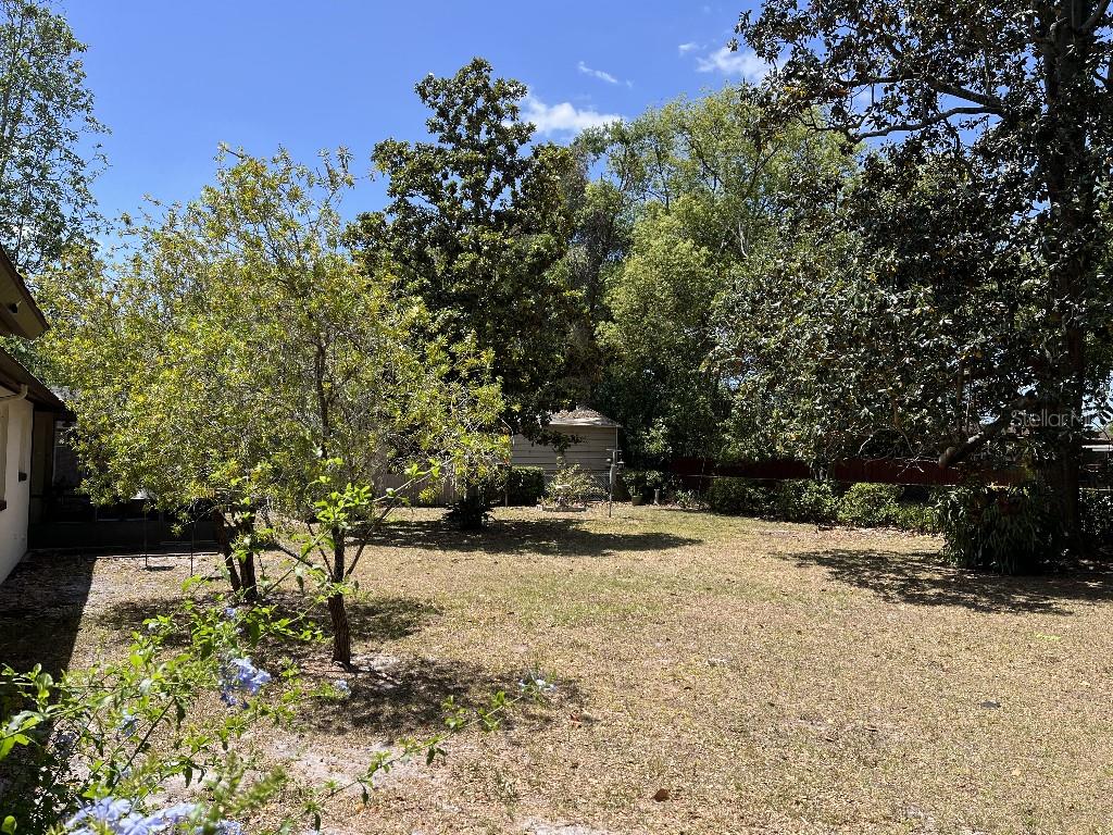 1230 JASMINE RD