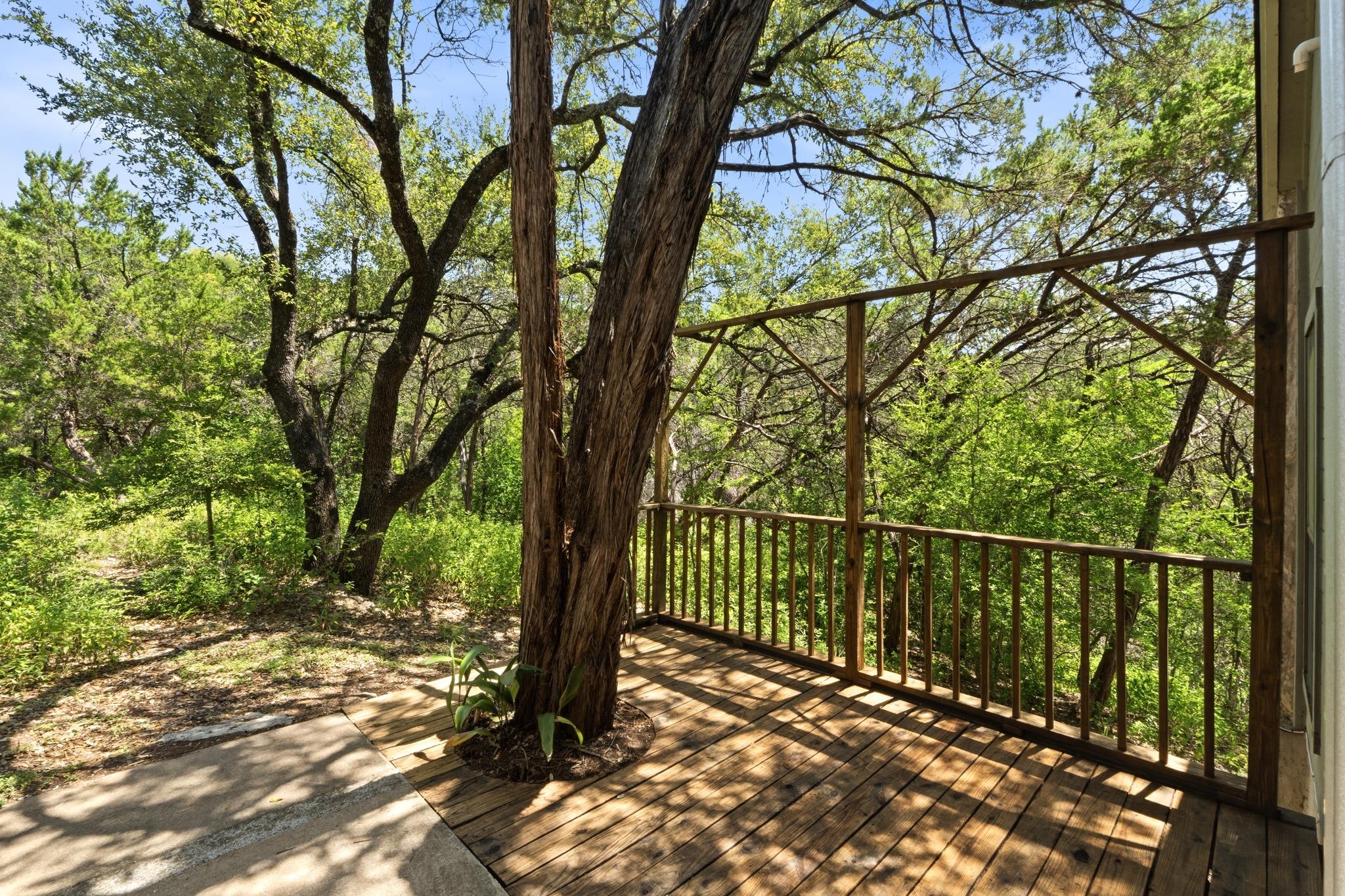 6702 Cat Creek TRL