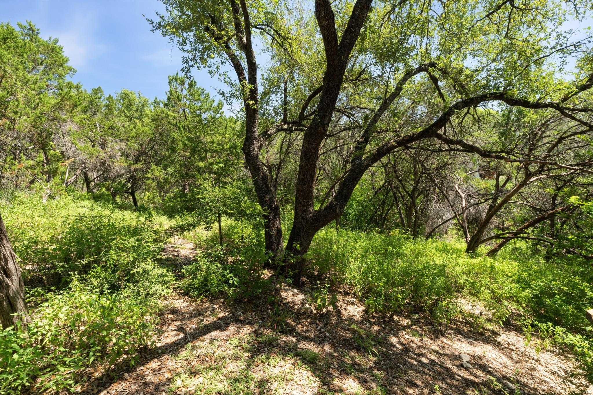 6702 Cat Creek TRL