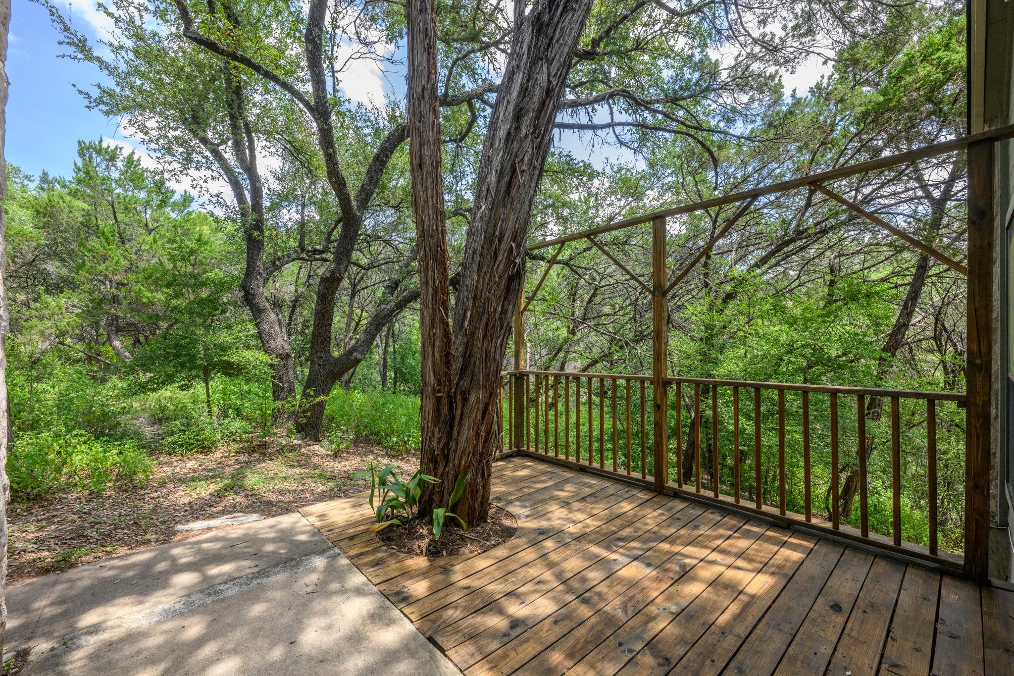 6702 Cat Creek TRL