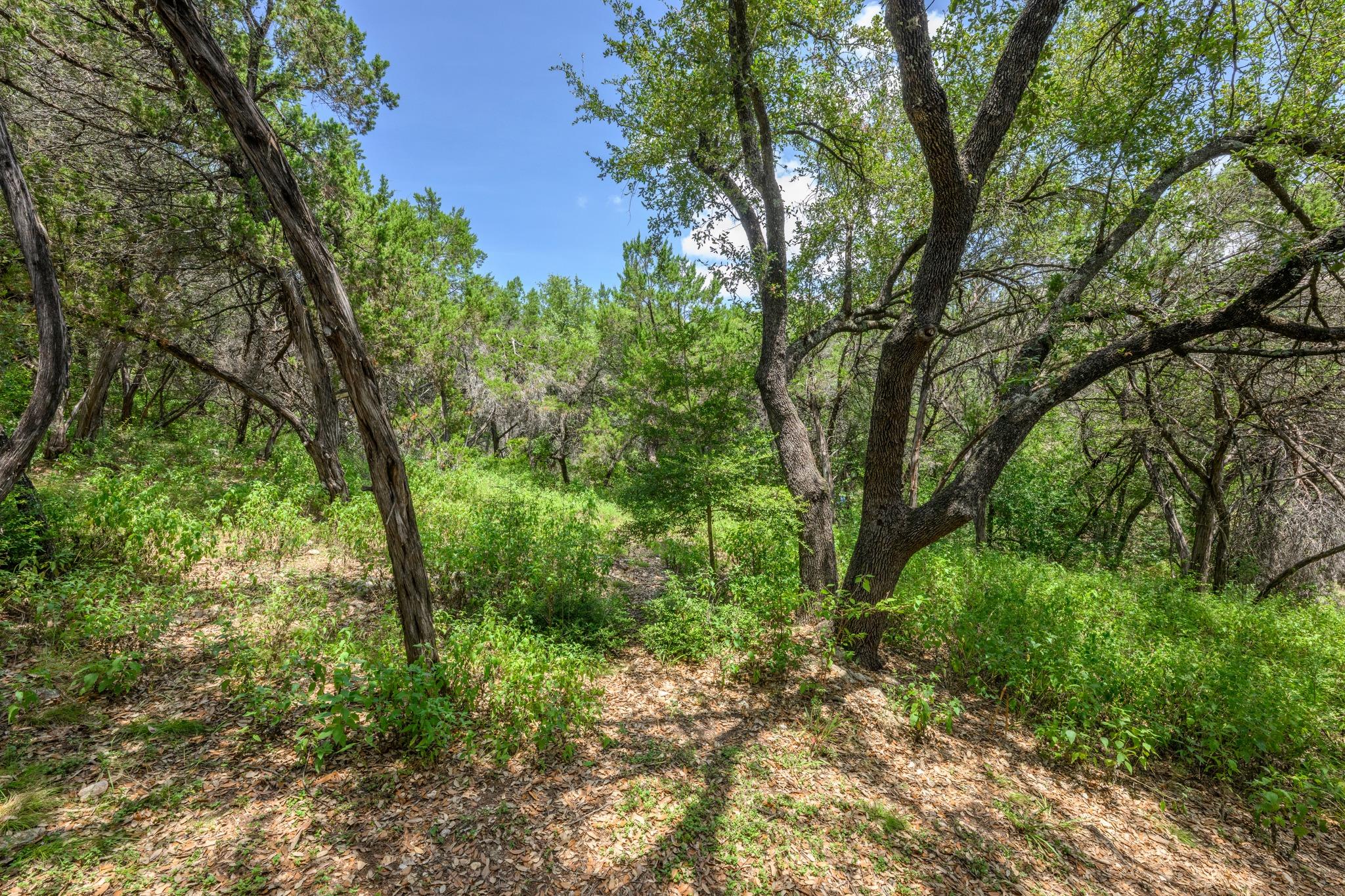 6702 Cat Creek TRL