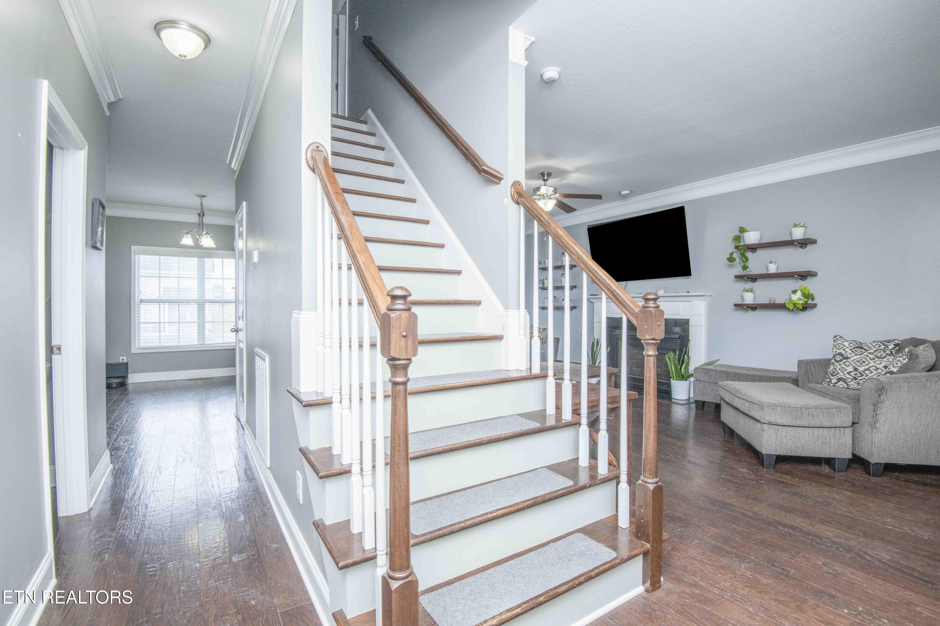 2559 Sparkling Star Lane