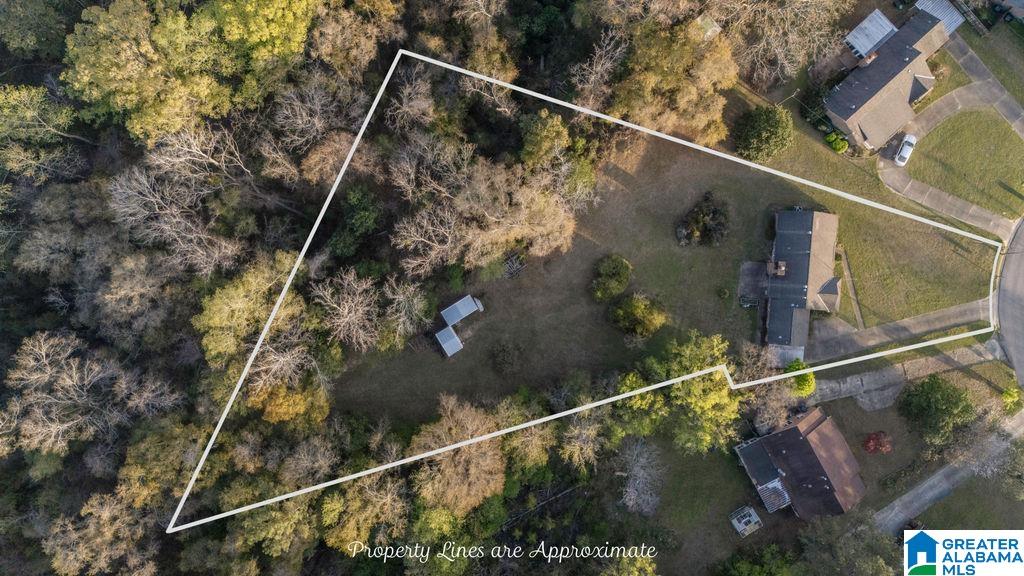 2646 S COBB LOOP ROAD