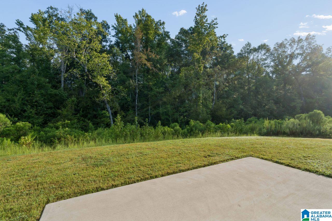 461 SADDLEWOOD COVE