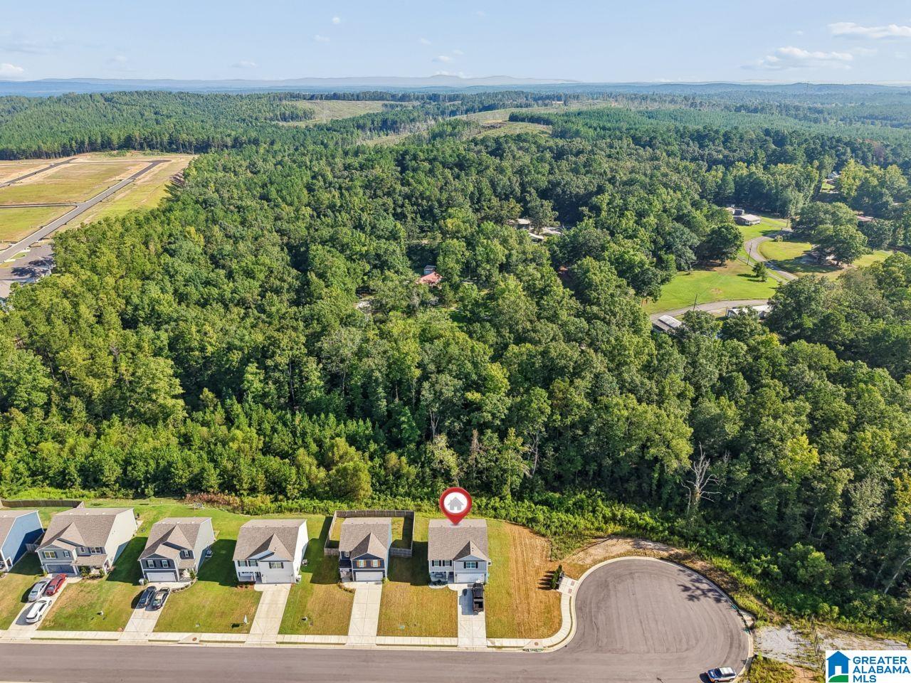 461 SADDLEWOOD COVE