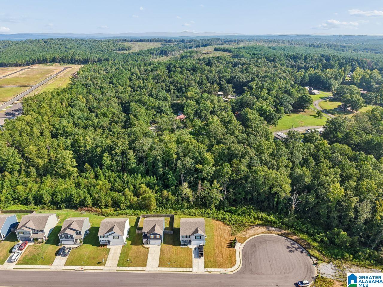461 SADDLEWOOD COVE