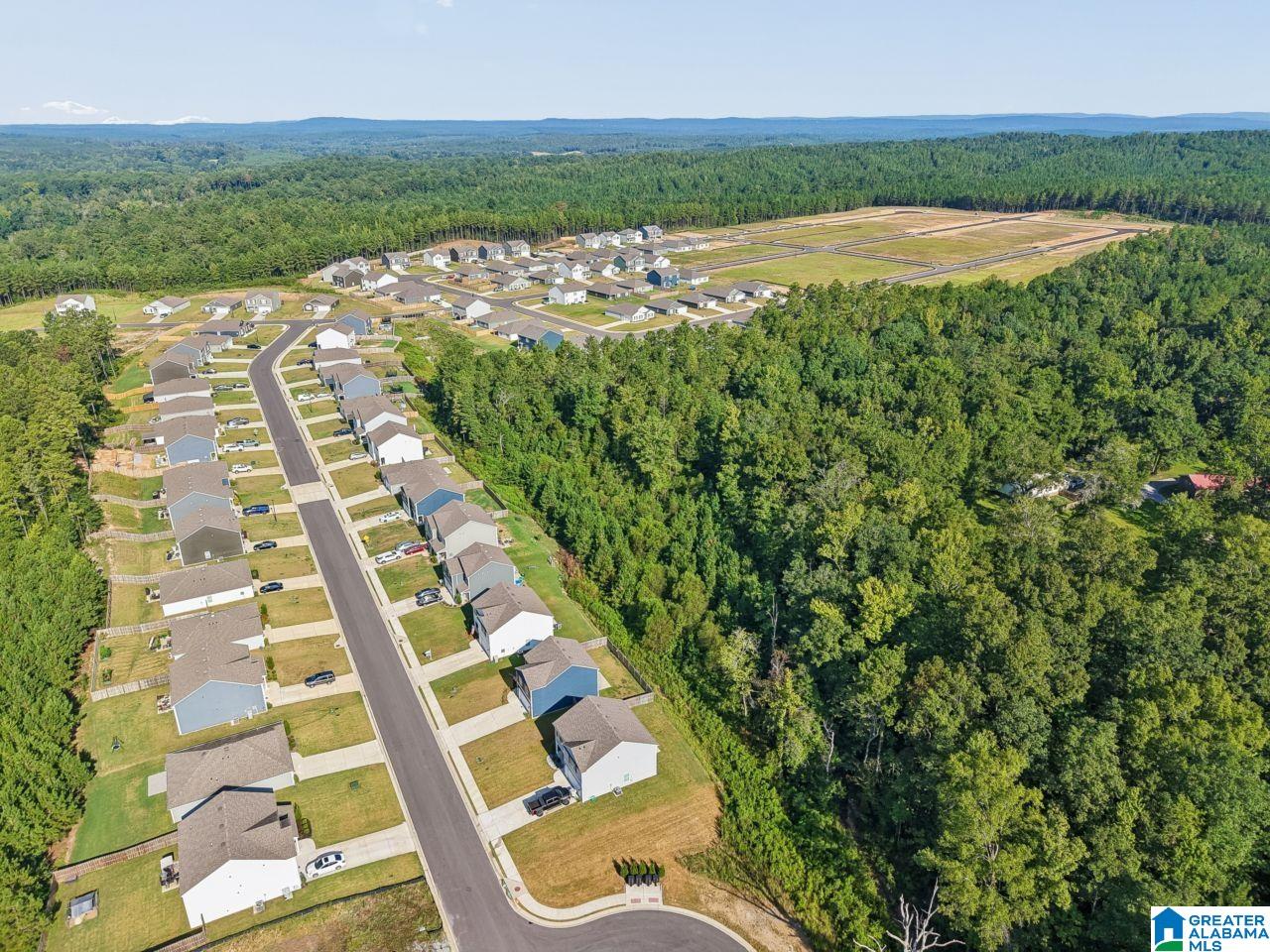 461 SADDLEWOOD COVE
