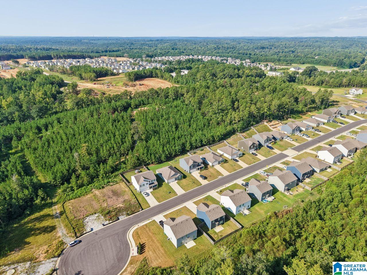 461 SADDLEWOOD COVE