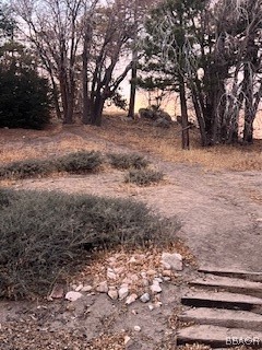 32945 Juniper Lane