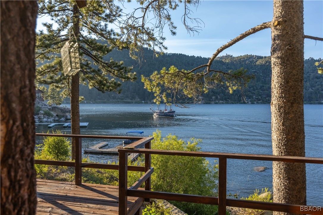 53 Big Bear Trail
