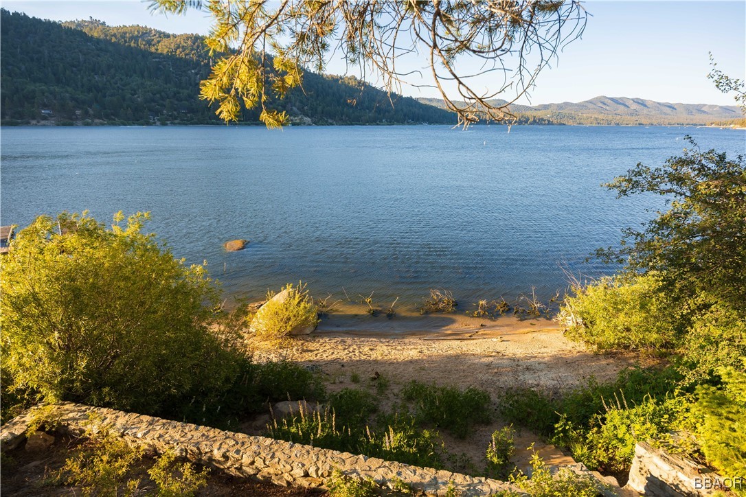 53 Big Bear Trail