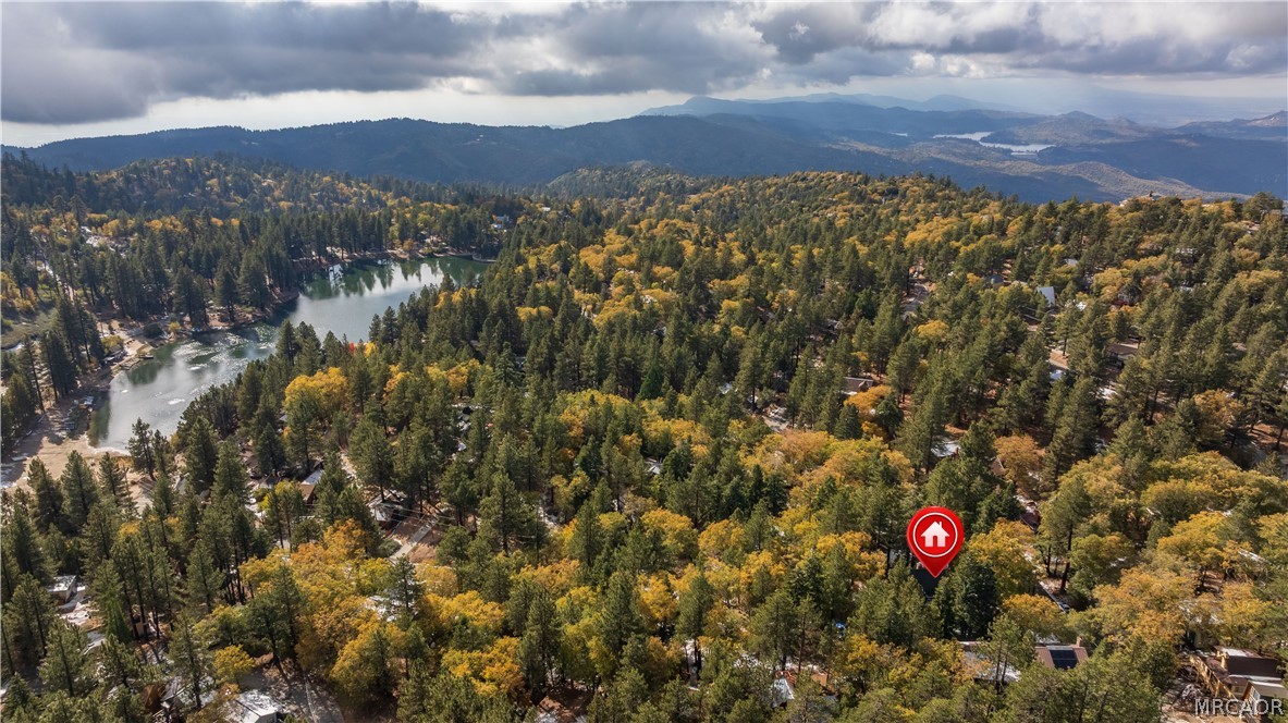 33291 Wild Rose Drive