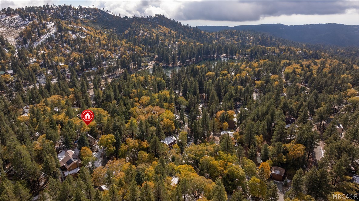 33291 Wild Rose Drive