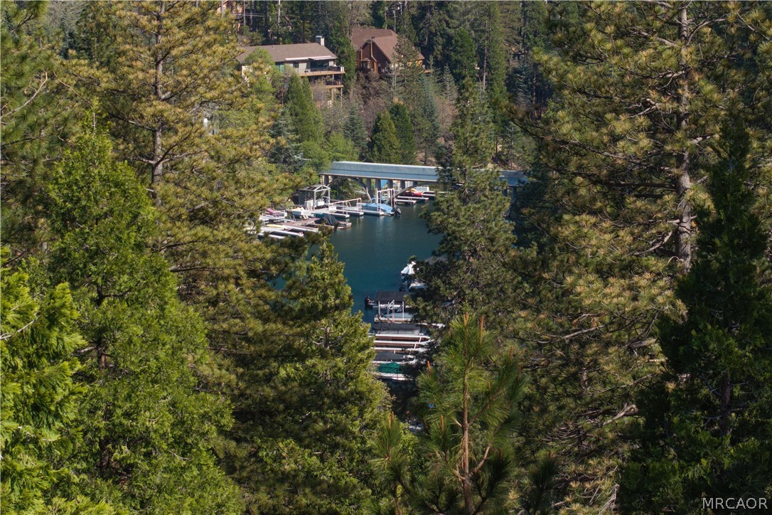 164 Birchwood Drive