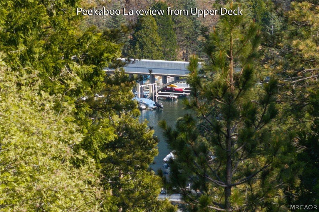 164 Birchwood Drive