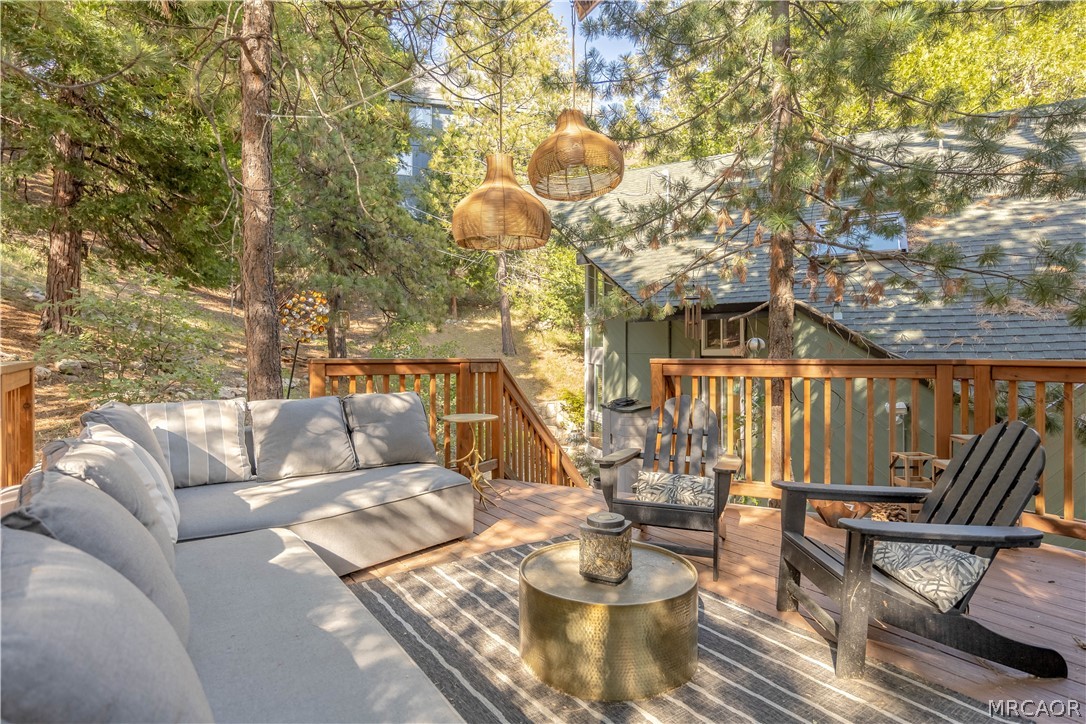 238 Shasta Drive