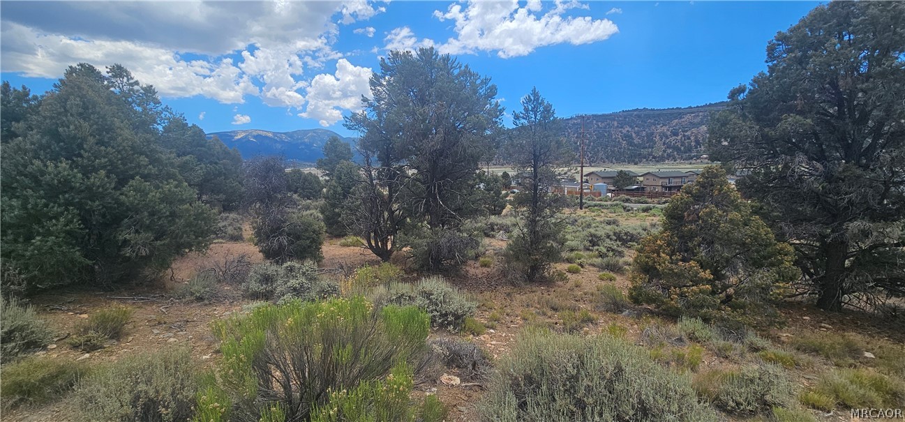 0 Baldwin Lake Road