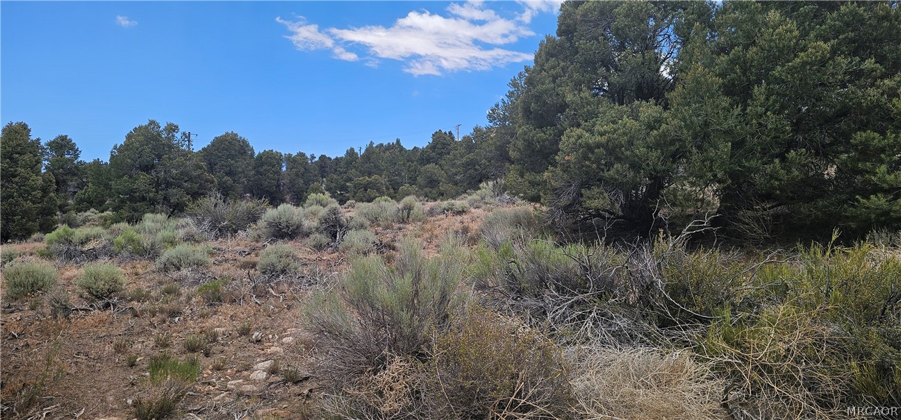 0 Baldwin Lake Road