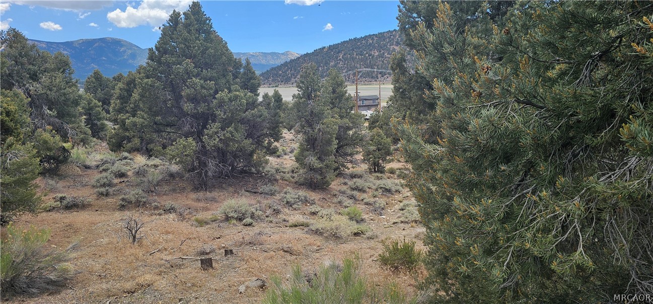 0 Baldwin Lake Road