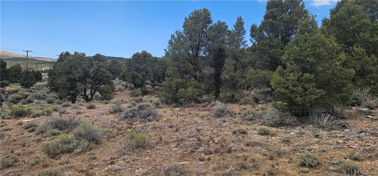 0 Baldwin Lake Road