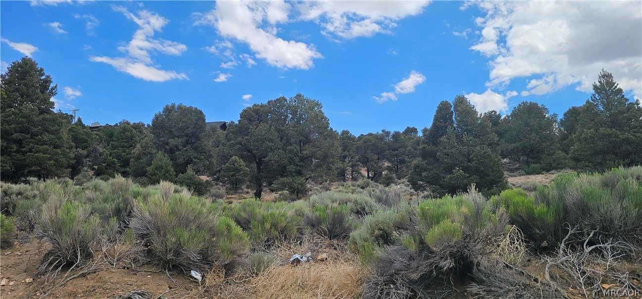 0 Baldwin Lake Road