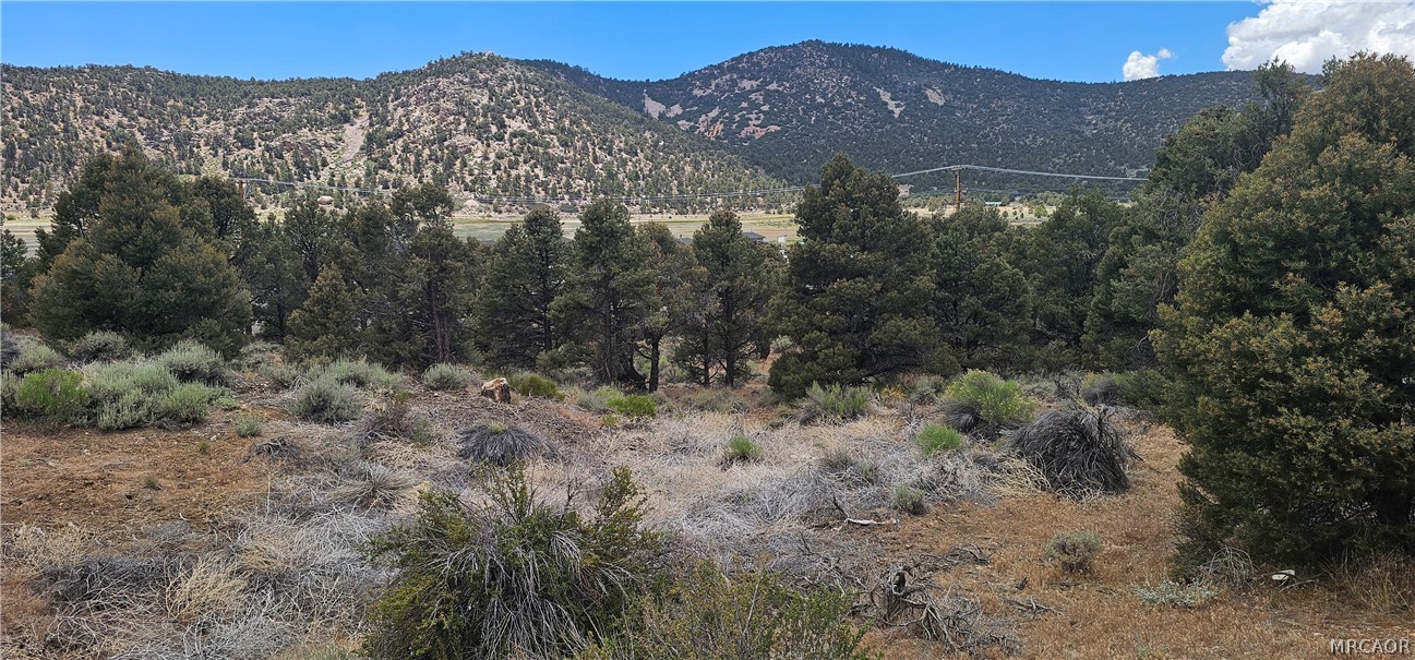 0 Baldwin Lake Road