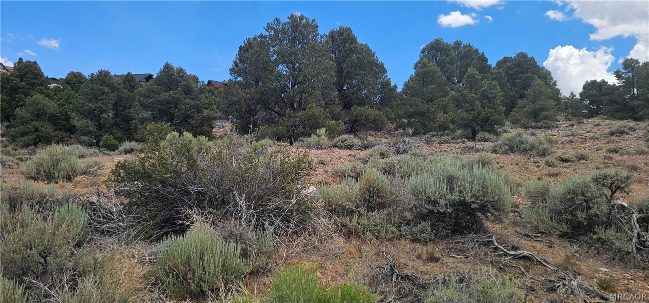 0 Baldwin Lake Road