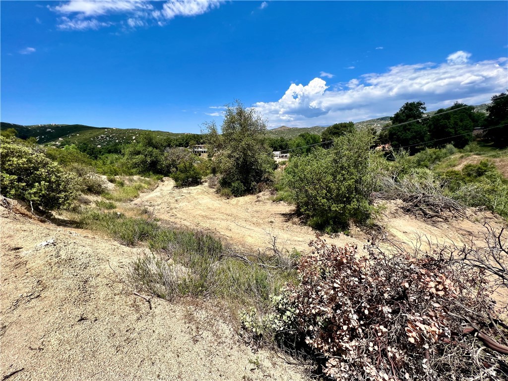 45902 Lynx Street