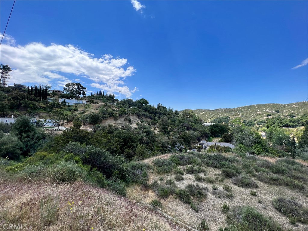 45902 Lynx Street