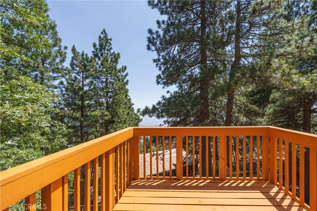 31303 Marcella Drive