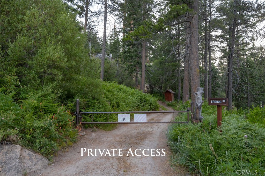53 Big Bear Trail