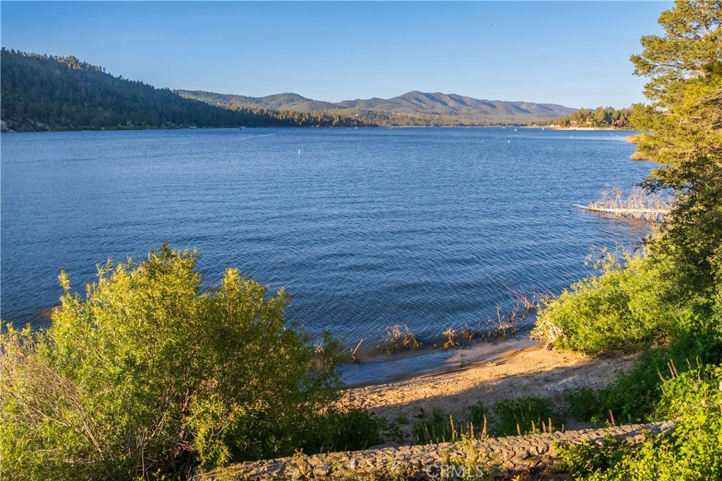 53 Big Bear Trail