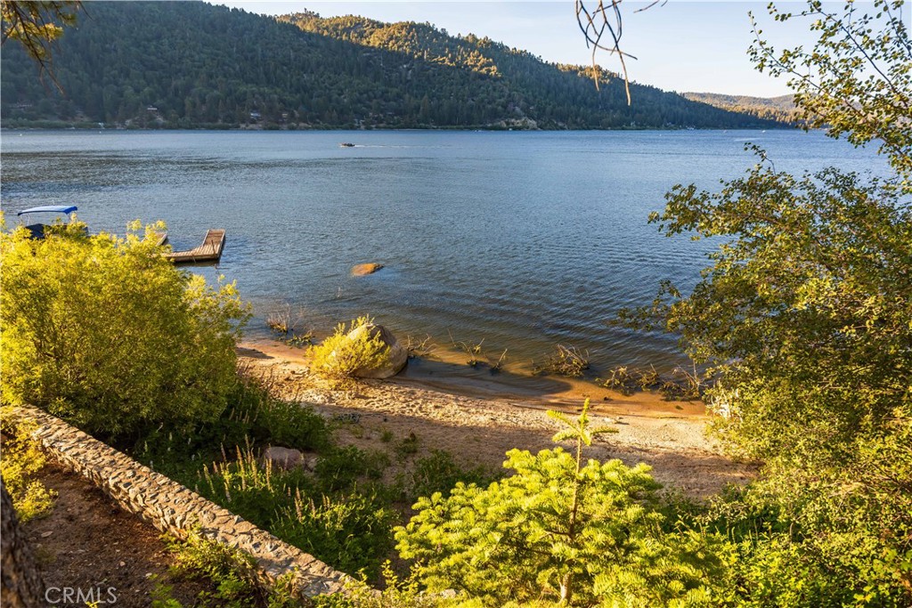 53 Big Bear Trail