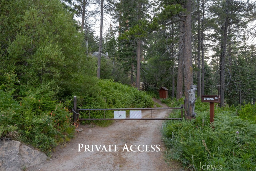 53 Big Bear Trail