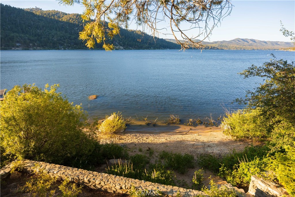 53 Big Bear Trail