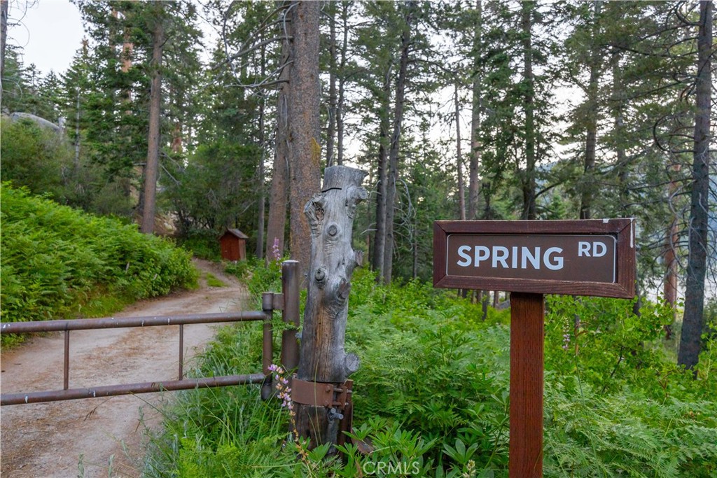 53 Big Bear Trail