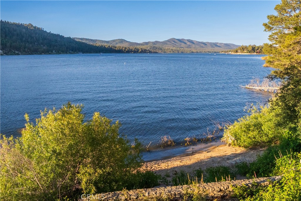 53 Big Bear Trail
