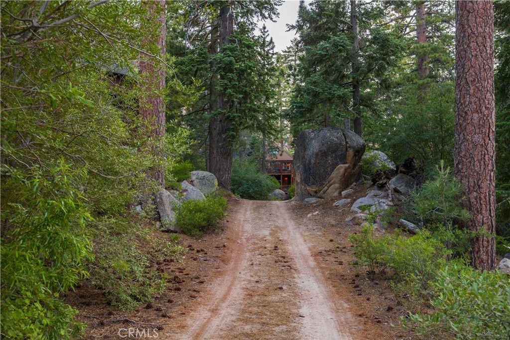 53 Big Bear Trail