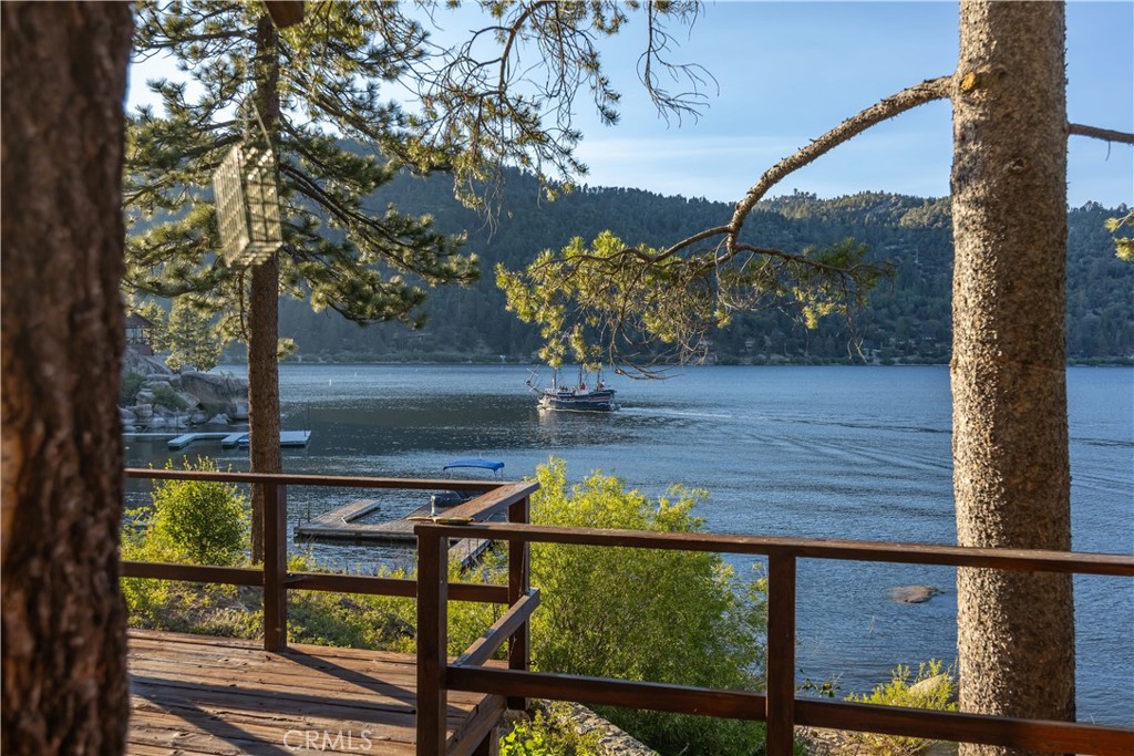 53 Big Bear Trail