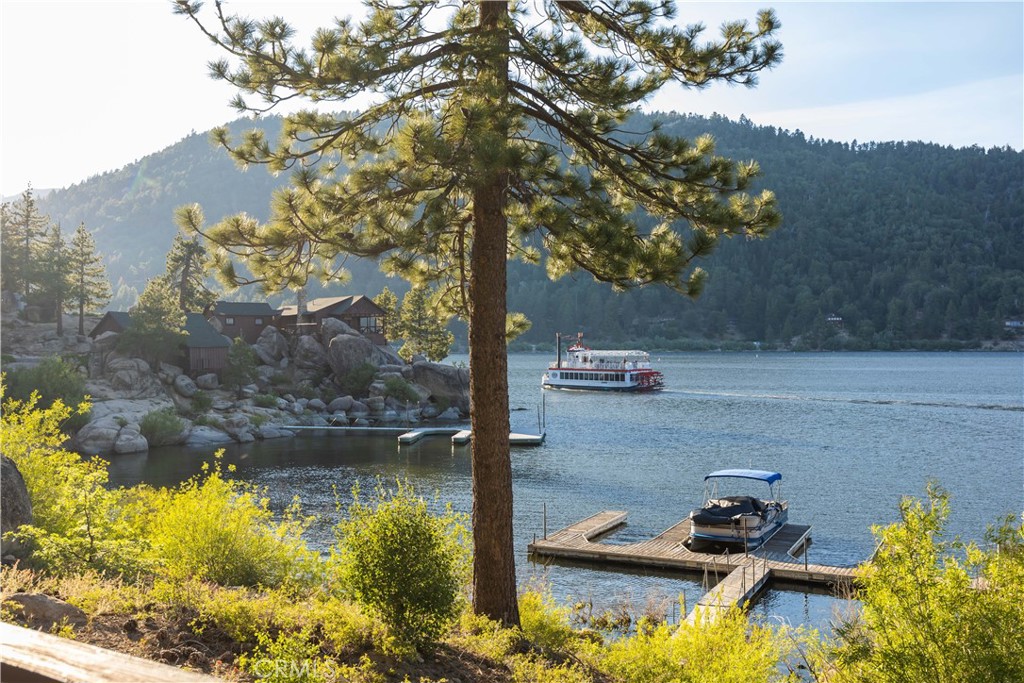 53 Big Bear Trail