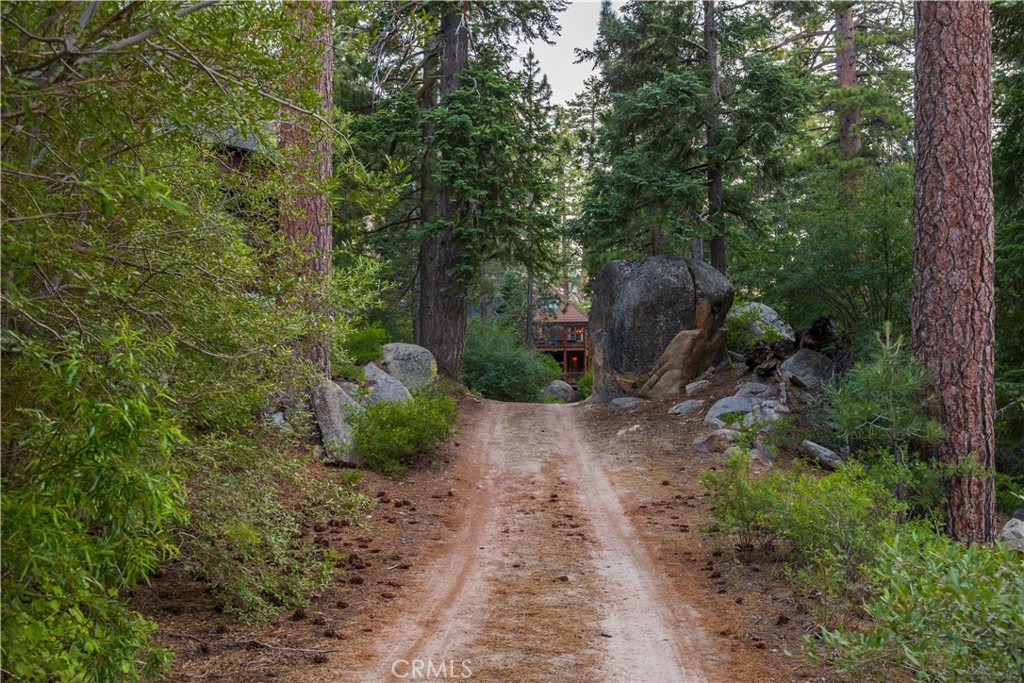 53 Big Bear Trail