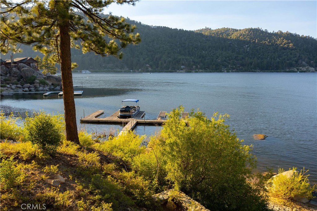 53 Big Bear Trail