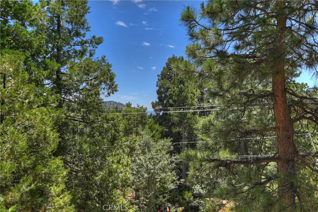 2410 Spring Oak Drive