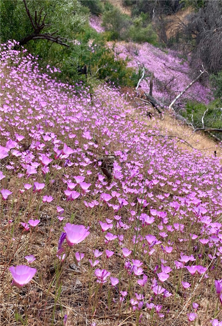 46404 Kings Canyon Road