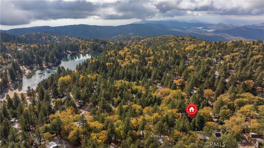 33291 Wild Rose Drive