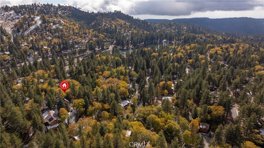 33291 Wild Rose Drive